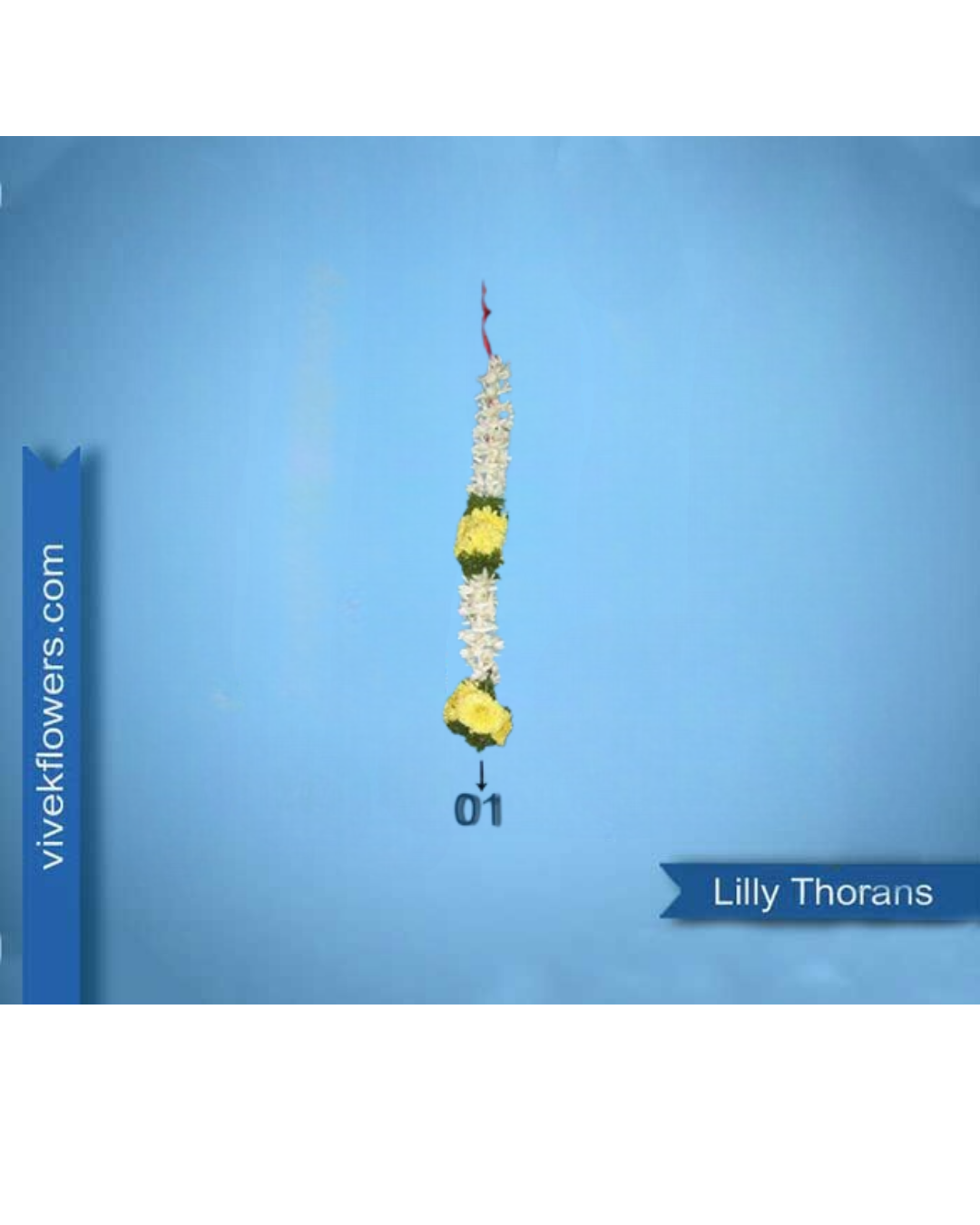 Lilly Toran - Design 01