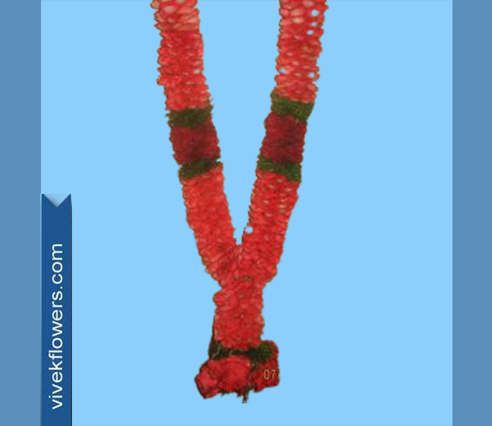 Milni_Garland009-3ft