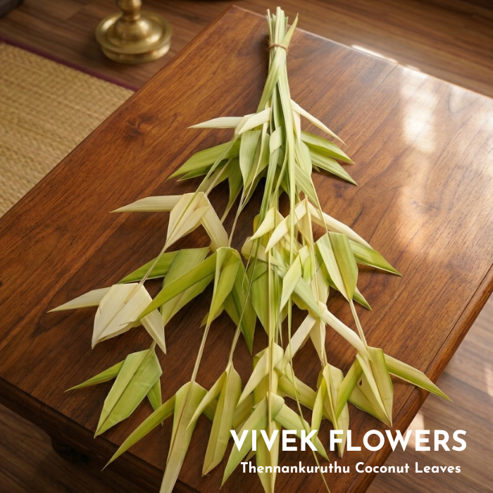 Thenamkuruthu Coconut Leaves