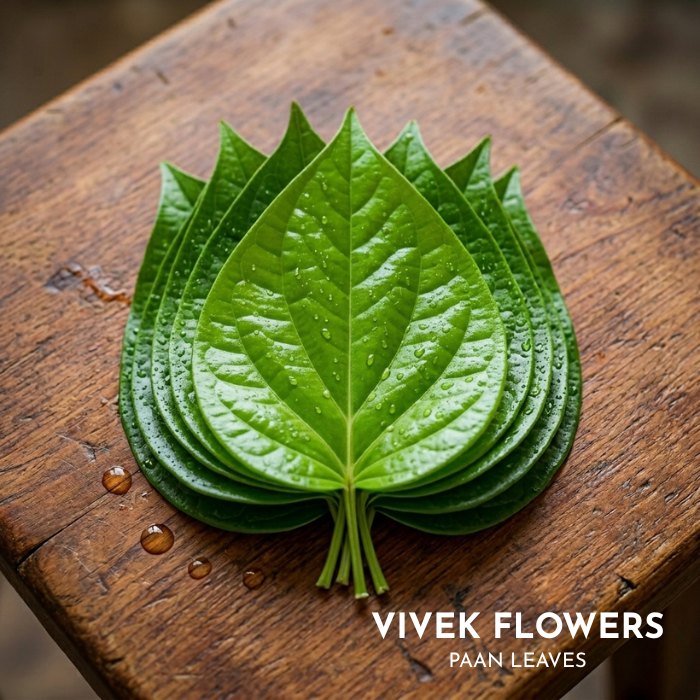 Paan Leaves