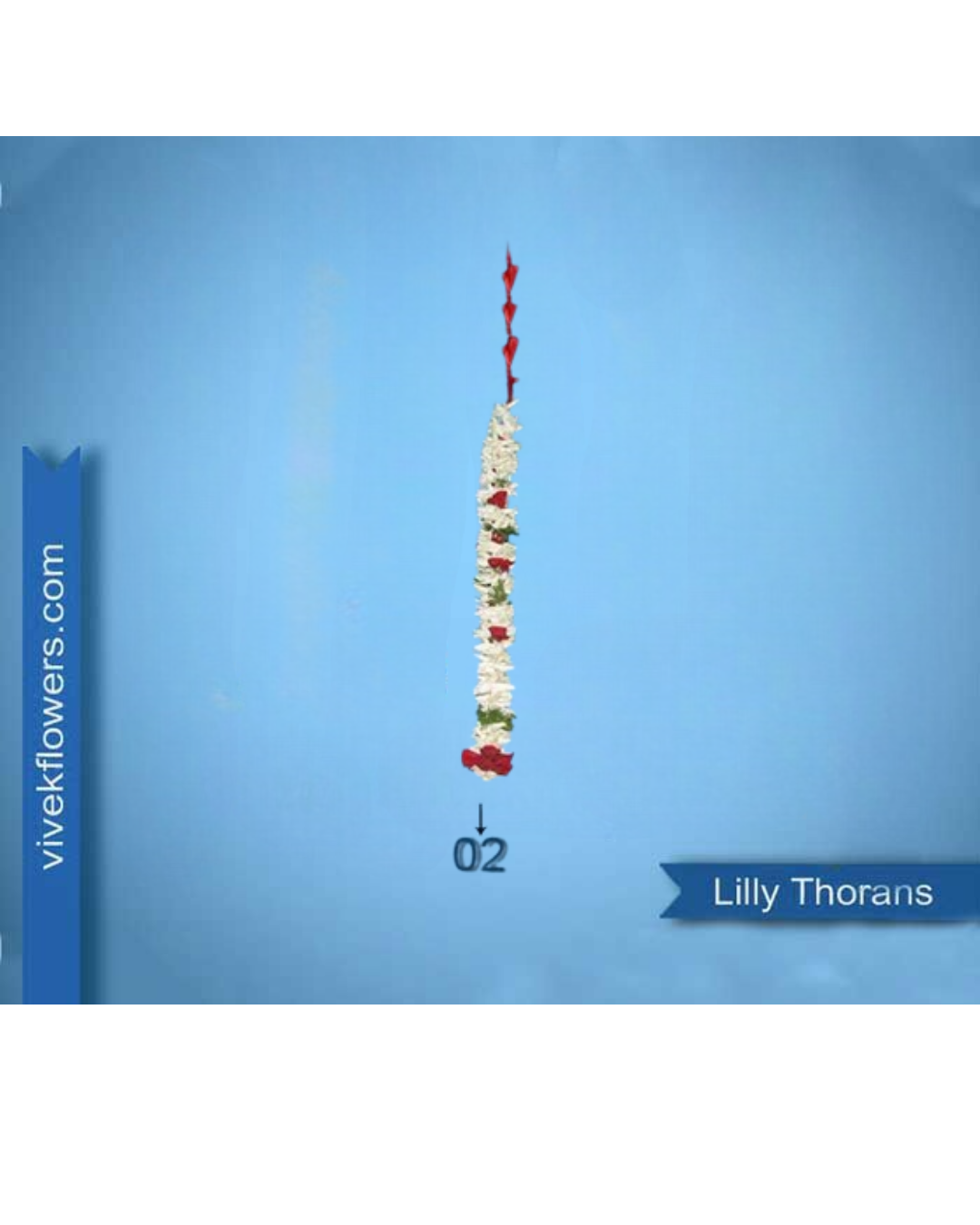 Lilly Toran - Design 02