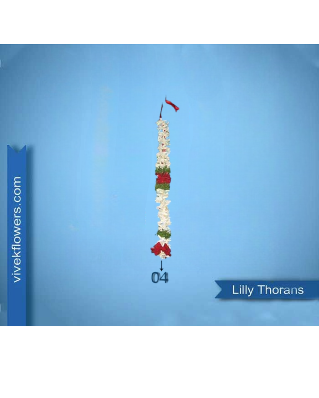 Lilly Toran - Design 04