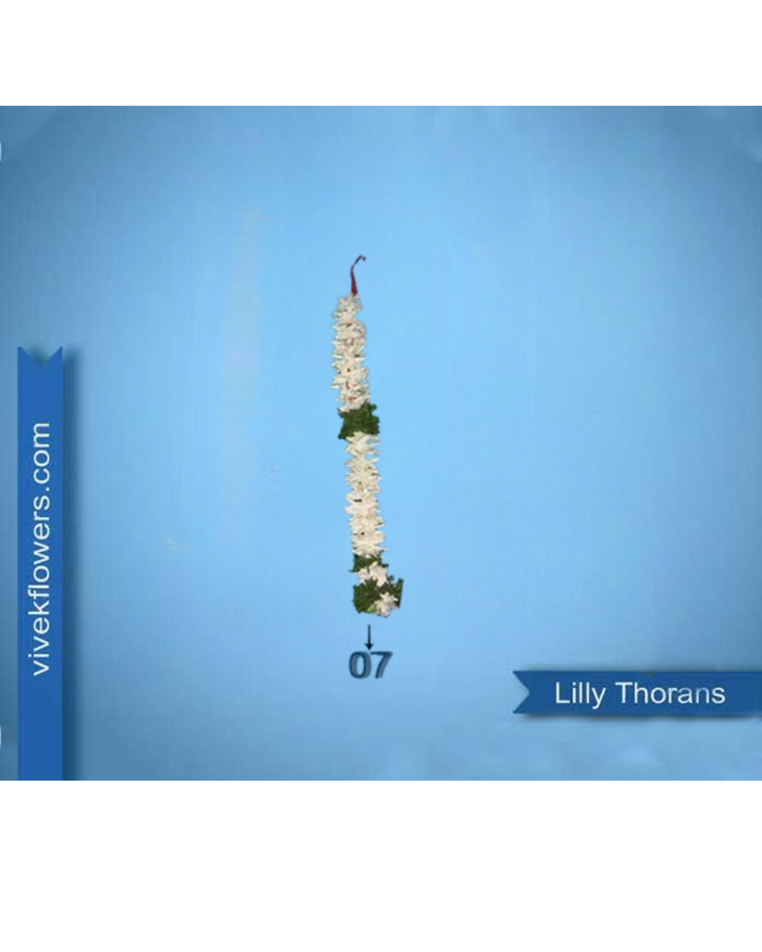 Lilly Toran - Design 07