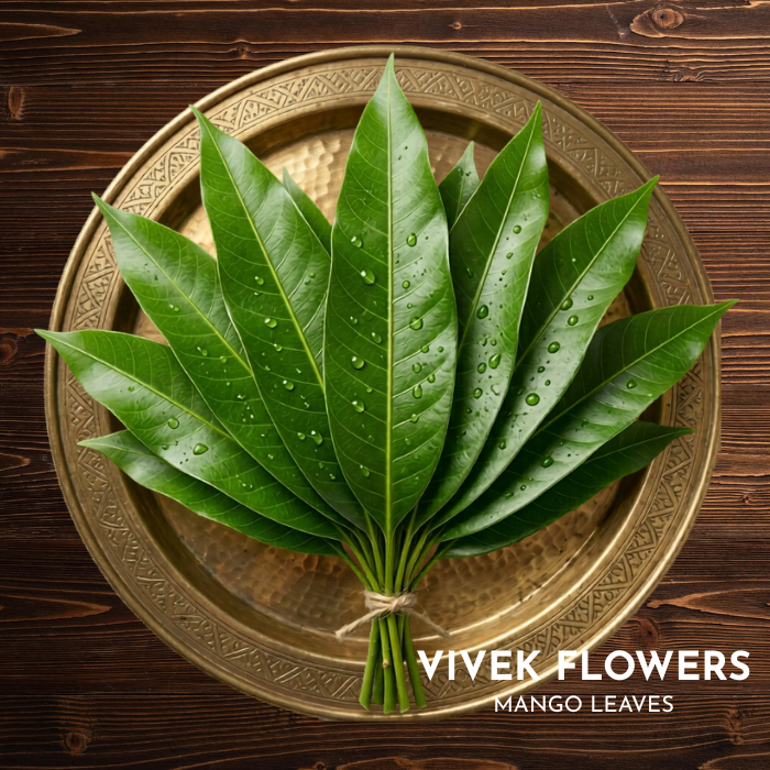 Mango leaves