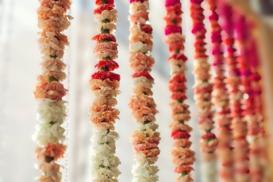 Carnation Strings - 3ft