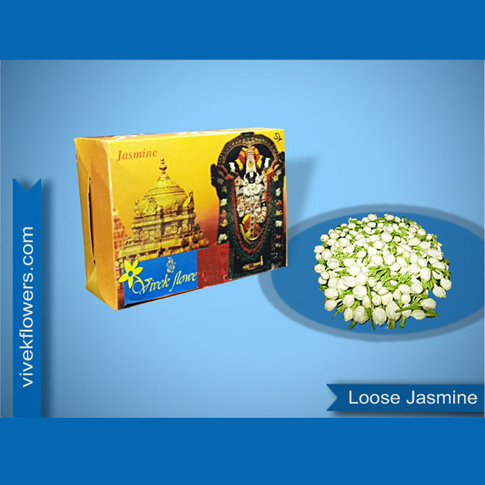 Jasmine Loose