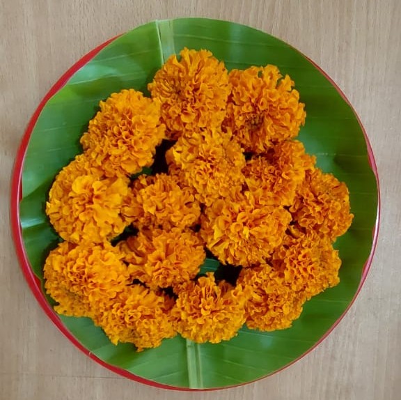 Banthipoolu / Marigolds- Orange