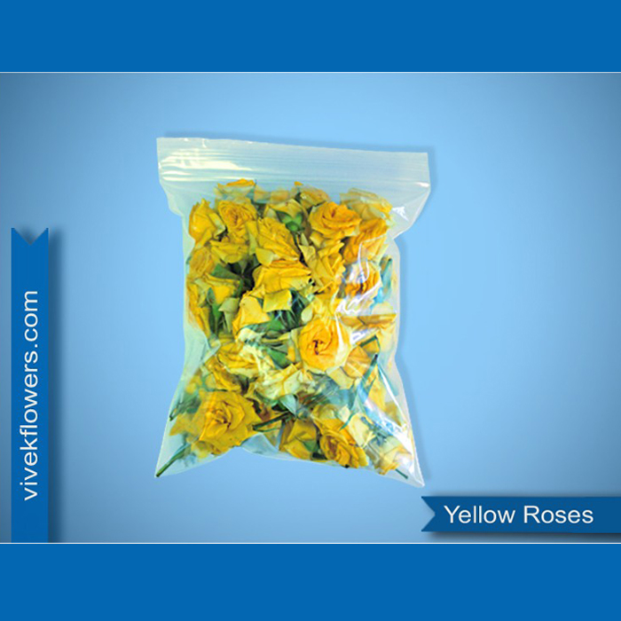 Yellow Roses