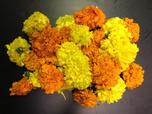 Marigold Loose Yellow & Orange