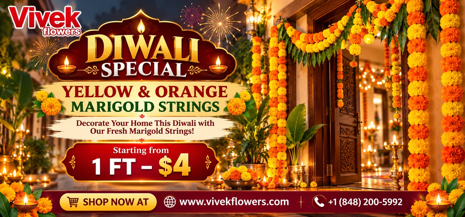 Diwali - Marigold strings 